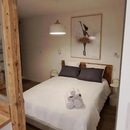 Les Logis De Bartholdi Apartment Colmar